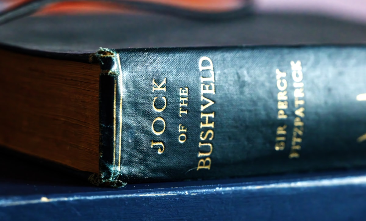 금박 글씨가 새겨진 양장 제본 책의 등 클로즈업