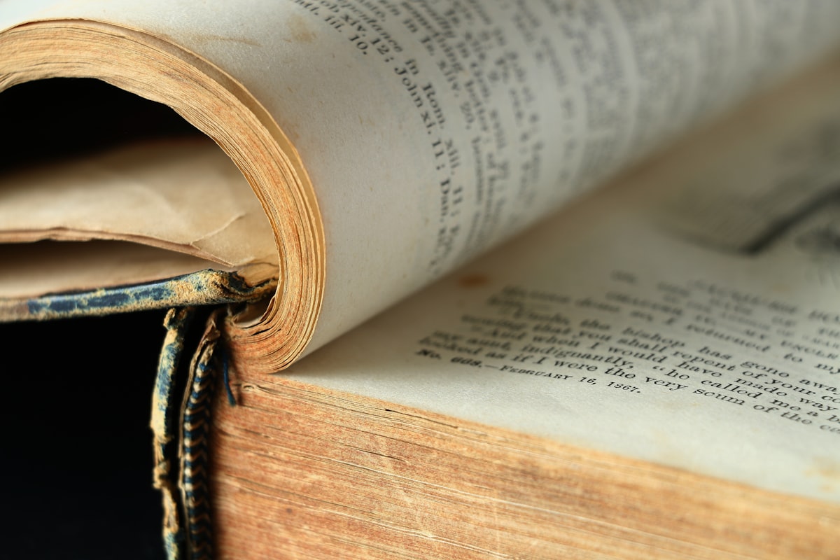 실로 꿰맨 사철 제본 책의 등 부분 클로즈업